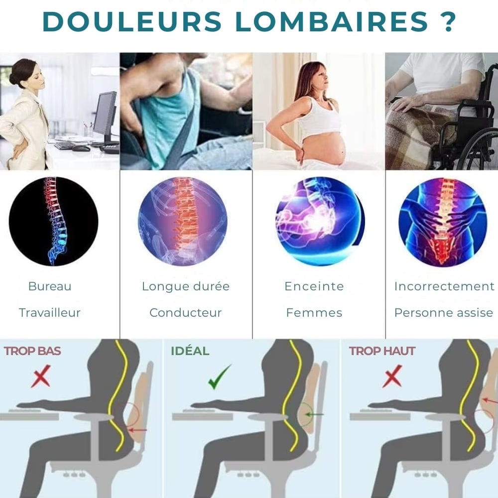 Coussin de Lecture Ergonomique