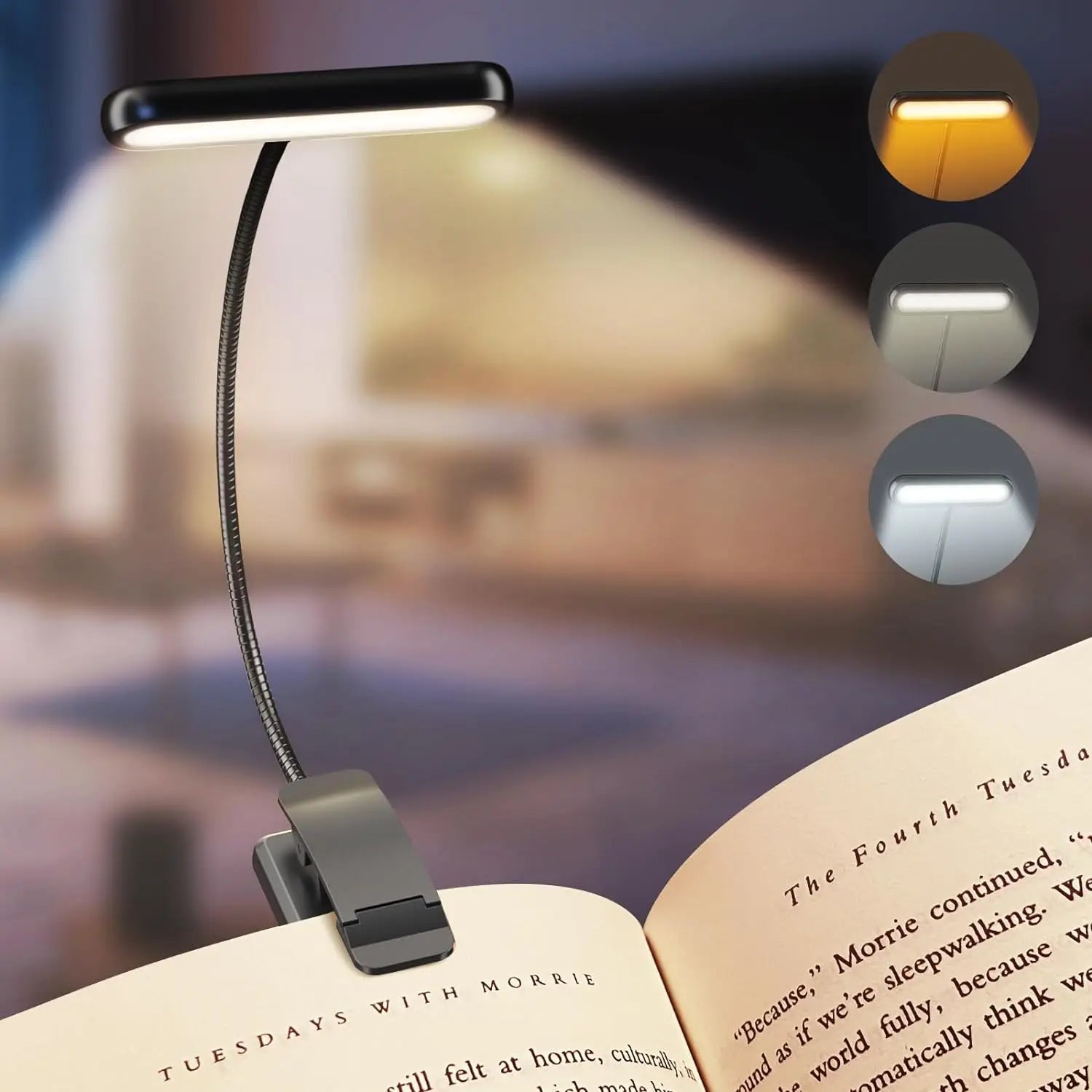Lampe de Lecture Clip