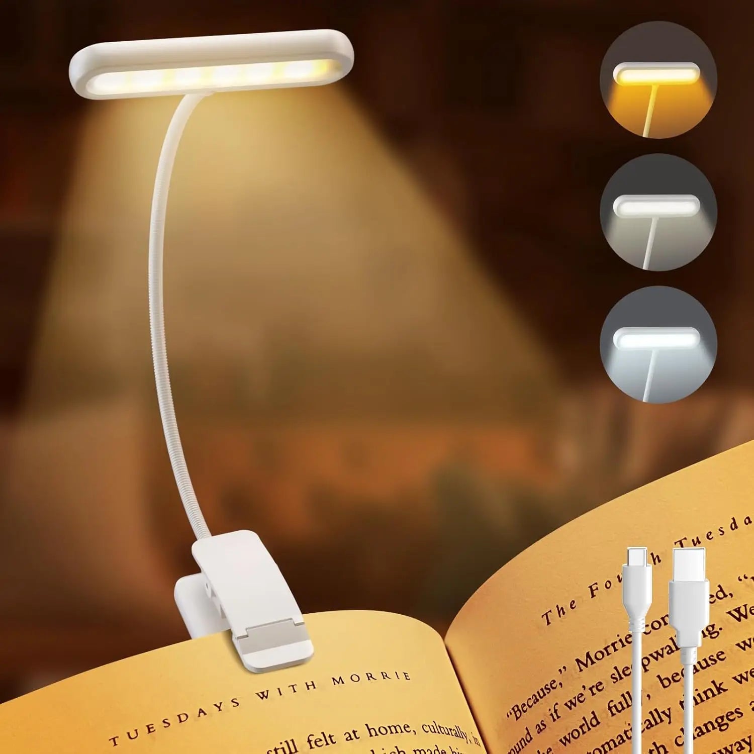Lampe de Lecture Clip