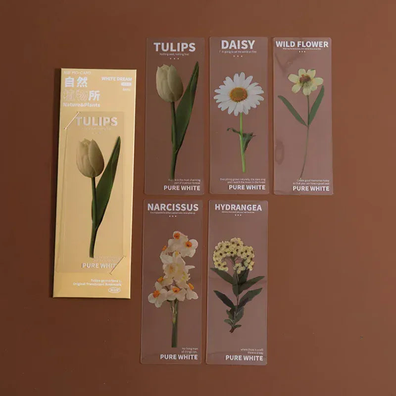 Marque Page Plante Transparent