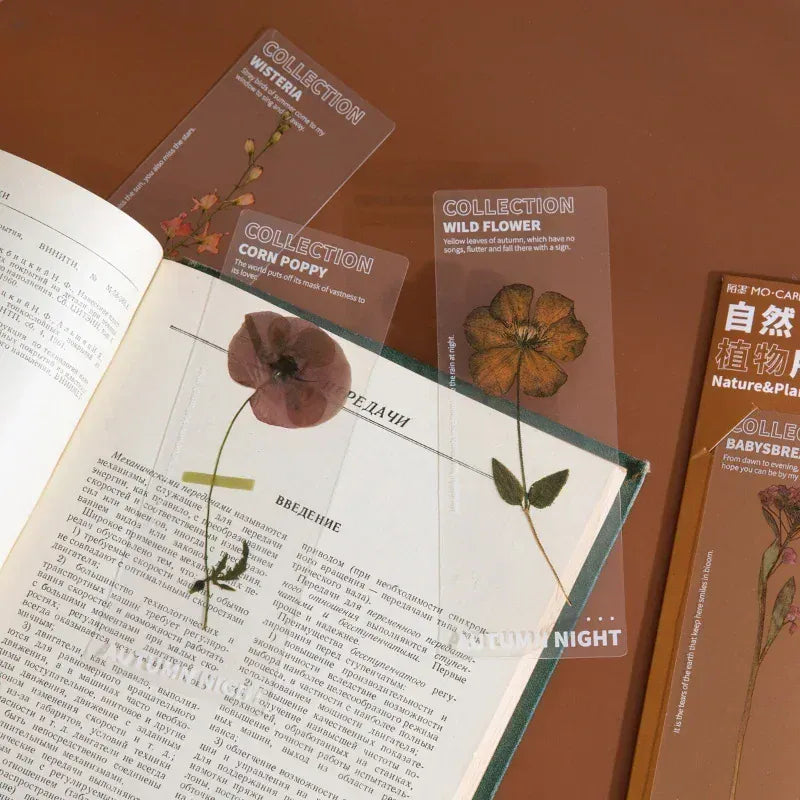 Marque Page Plante Transparent