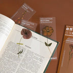 Marque Page Plante Transparent