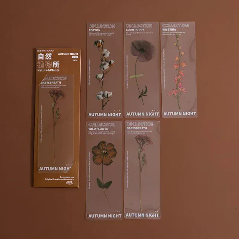 Marque Page Plante Transparent