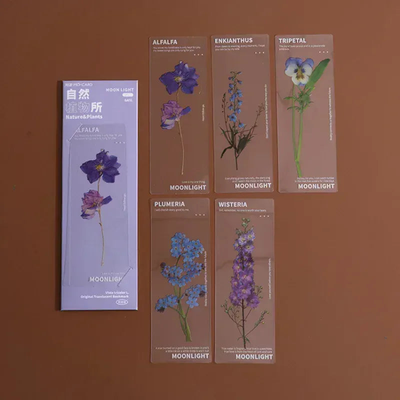 Marque Page Plante Transparent