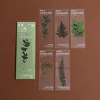 Marque Page Plante Transparent