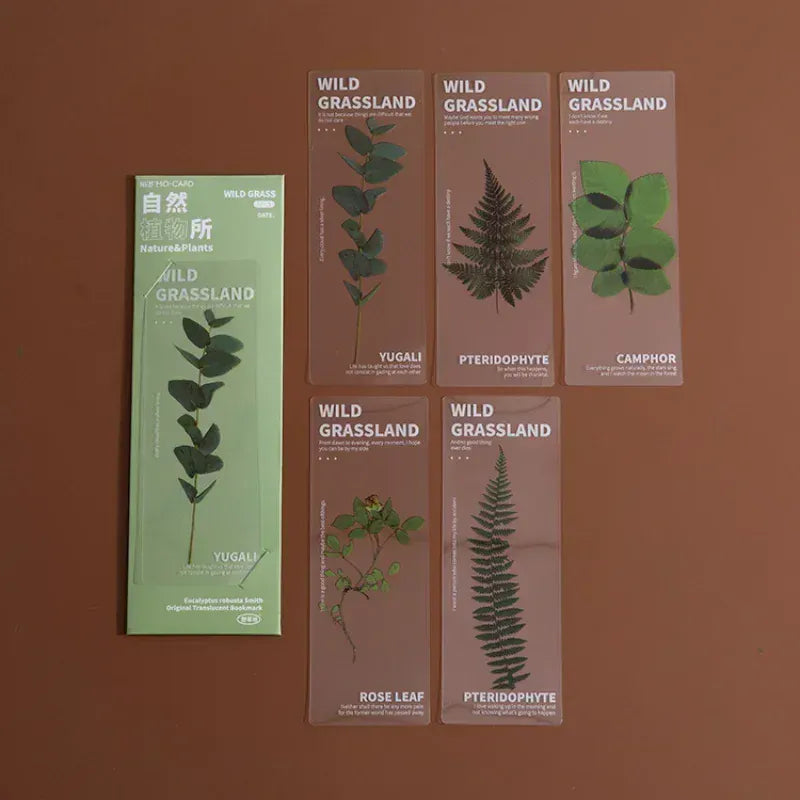 Marque Page Plante Transparent