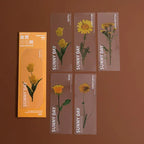 Marque Page Plante Transparent