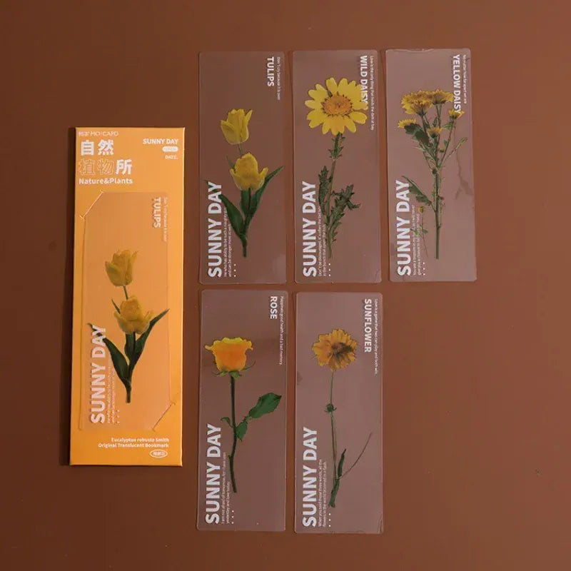 Marque Page Plante Transparent