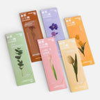 Marque Page Plante Transparent