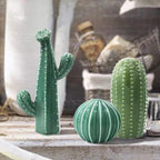 Serre Livre Cactus