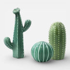Serre Livre Cactus