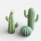 Serre Livre Cactus