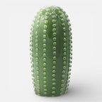 Serre Livre Cactus