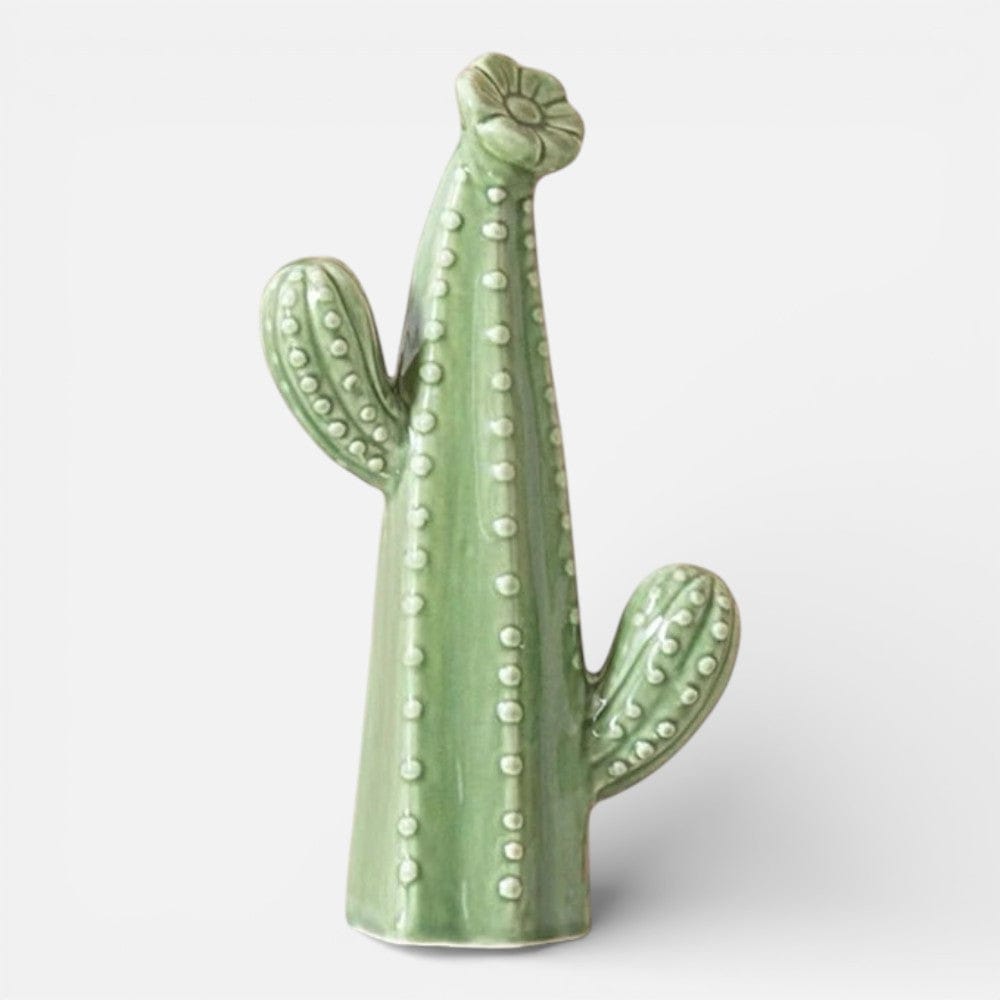 Serre Livre Cactus