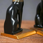 Serre Livre Chat Egypte