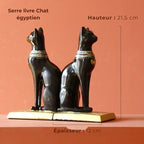 Serre Livre Chat Egypte