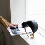 Serre Livre Corbeau Noir