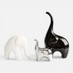 Serre Livre Éléphant Brillant Moderne