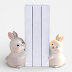 Serre Livre Lapin Blanc