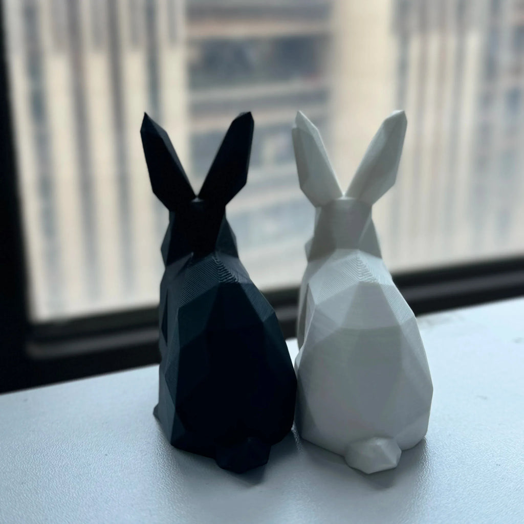 Serre Livre Lapin Domestique