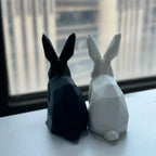 Serre Livre Lapin Domestique
