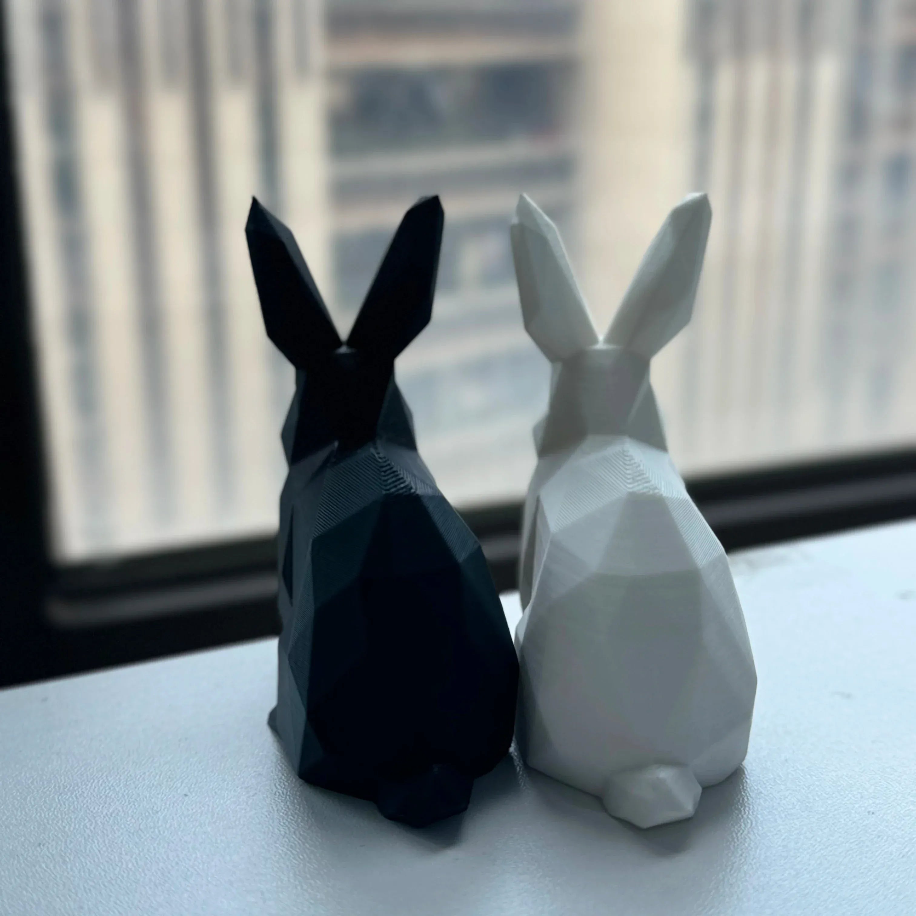Serre Livre Lapin Domestique