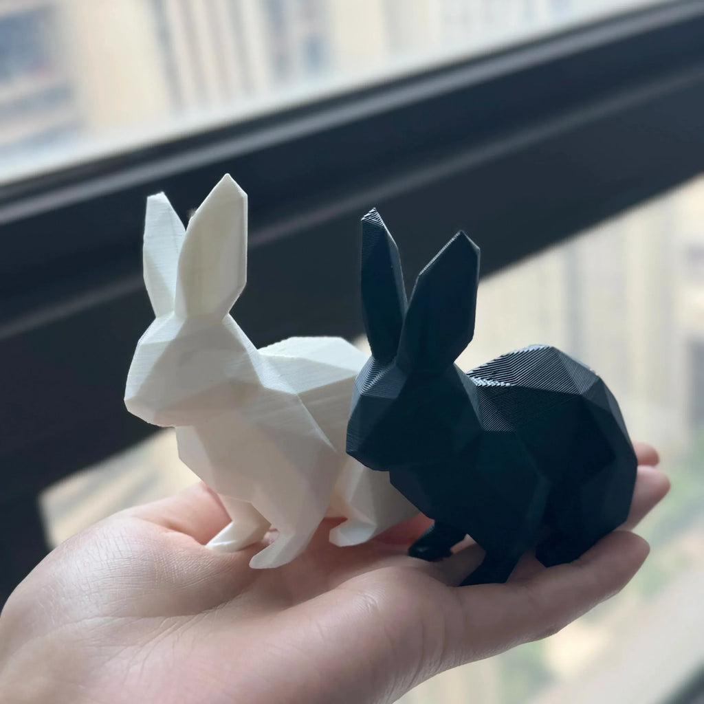 Serre Livre Lapin Domestique