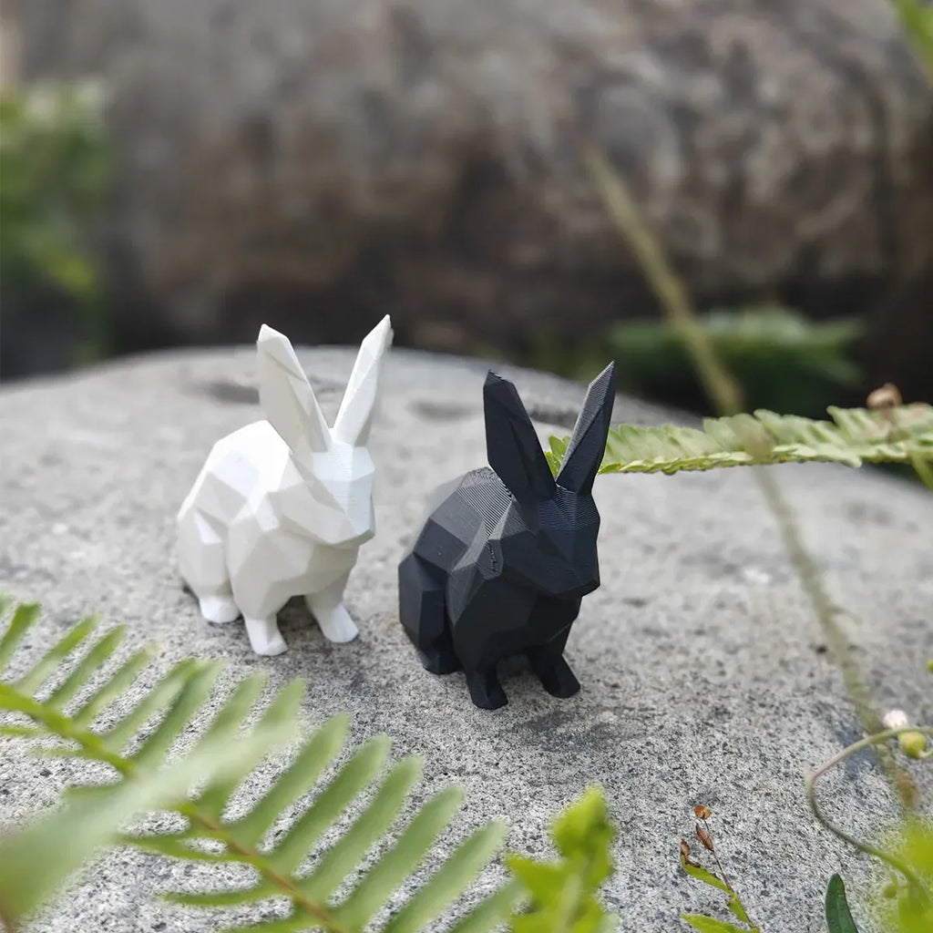 Serre Livre Lapin Domestique