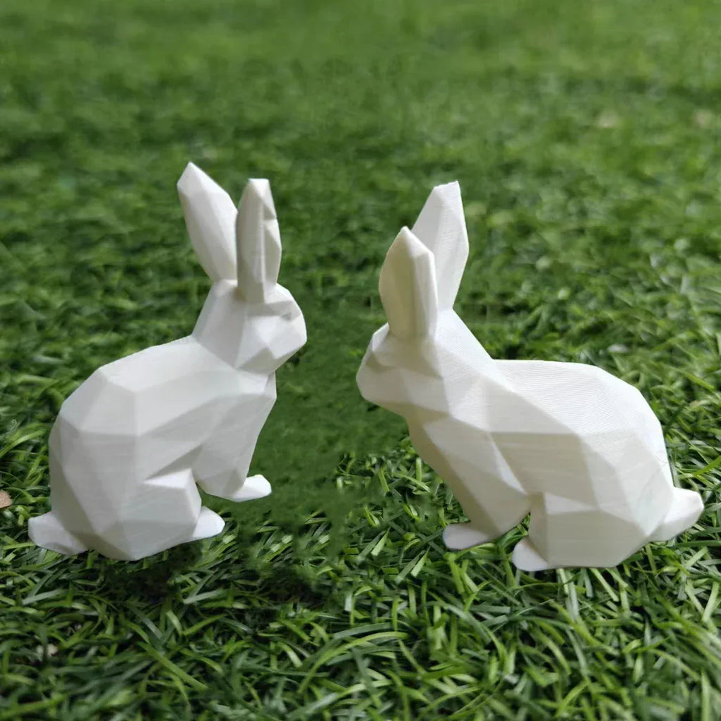 Serre Livre Lapin Domestique