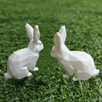 Serre Livre Lapin Domestique