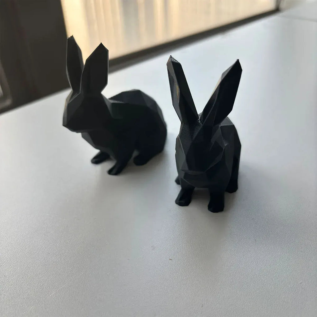 Serre Livre Lapin Domestique