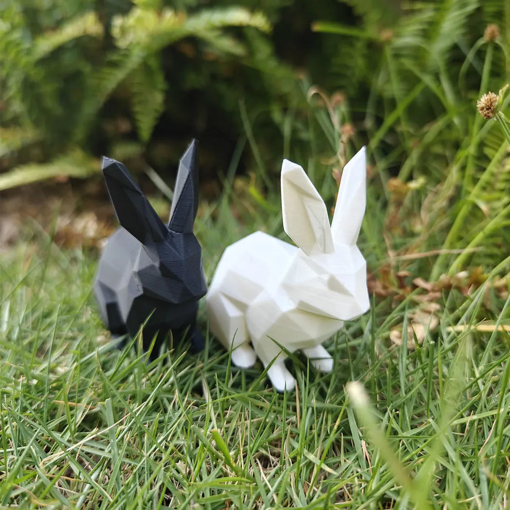 Serre Livre Lapin Domestique