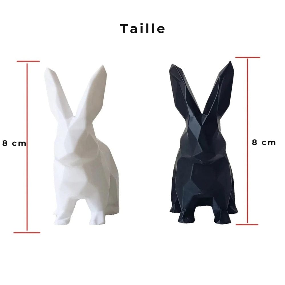 Serre Livre Lapin Domestique