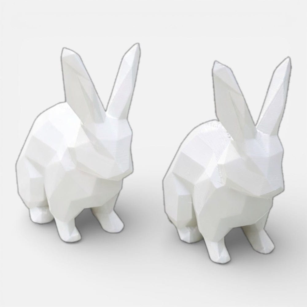 Serre Livre Lapin Domestique