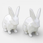 Serre Livre Lapin Domestique