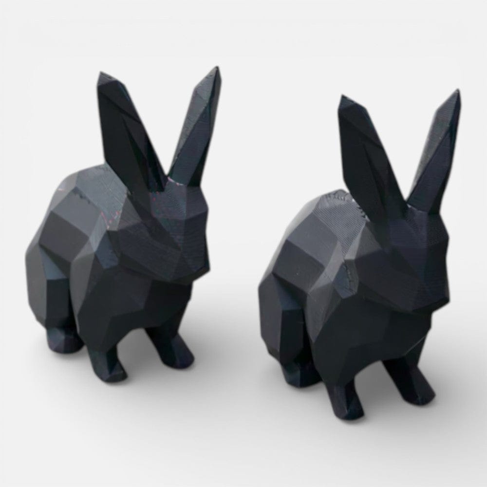 Serre Livre Lapin Domestique