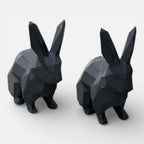 Serre Livre Lapin Domestique