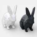 Serre Livre Lapin Domestique