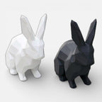 Serre Livre Lapin Domestique